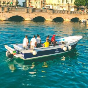 Tour in barca Dolphin excursion